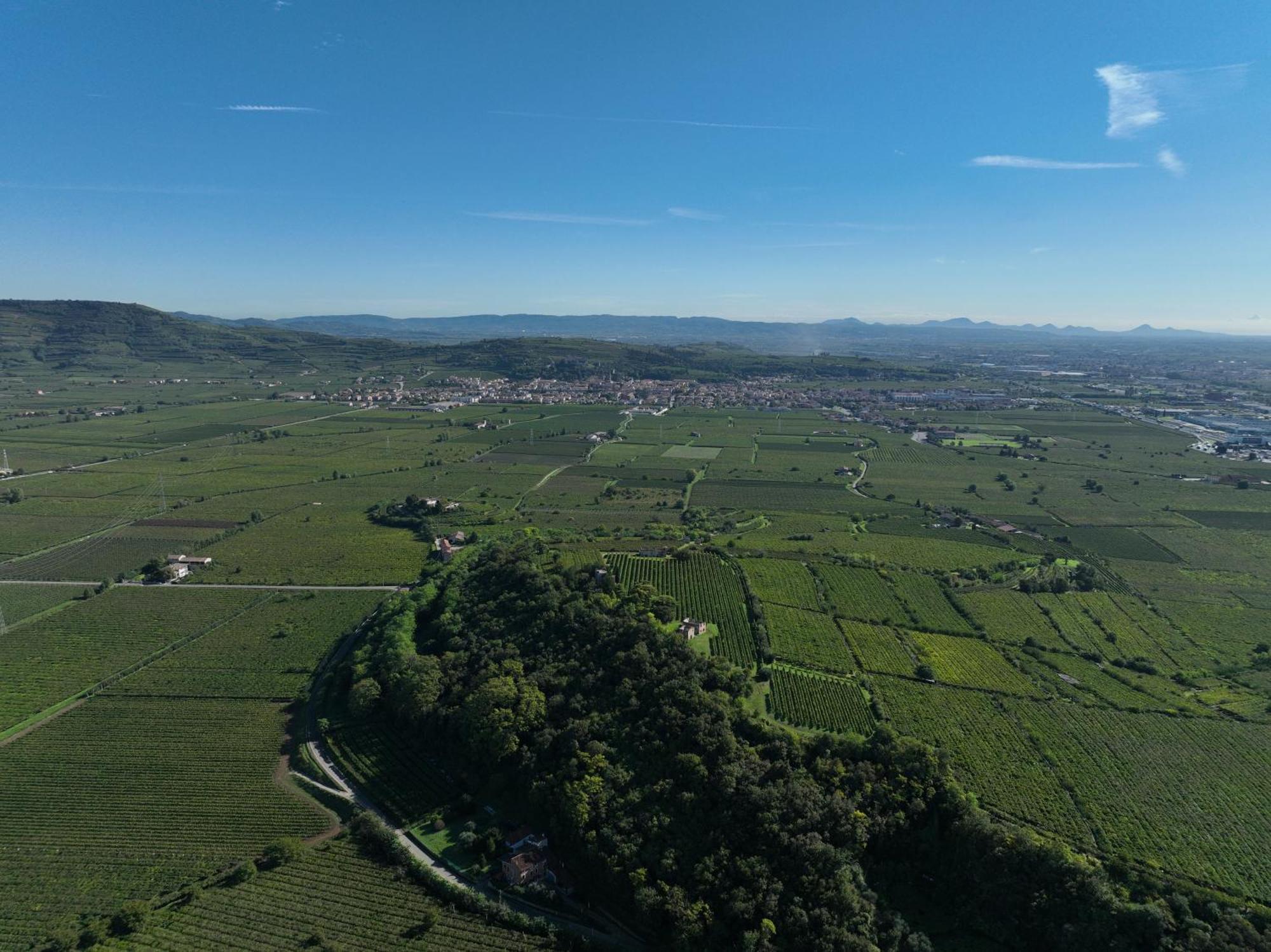 Agriturismo Monte Bisson Soave  Eksteriør billede